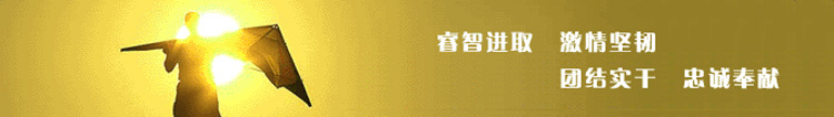 濾油粉